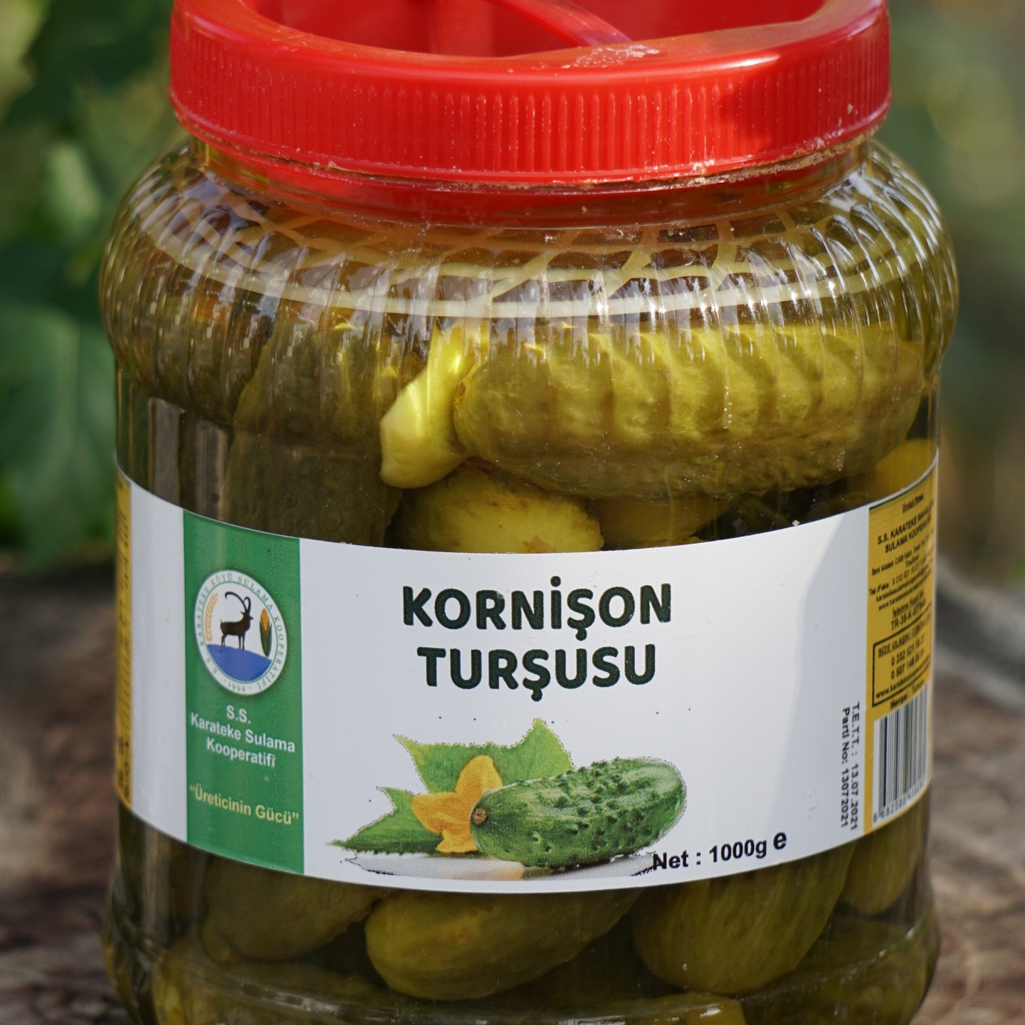 Bütün Kornişon Turşusu