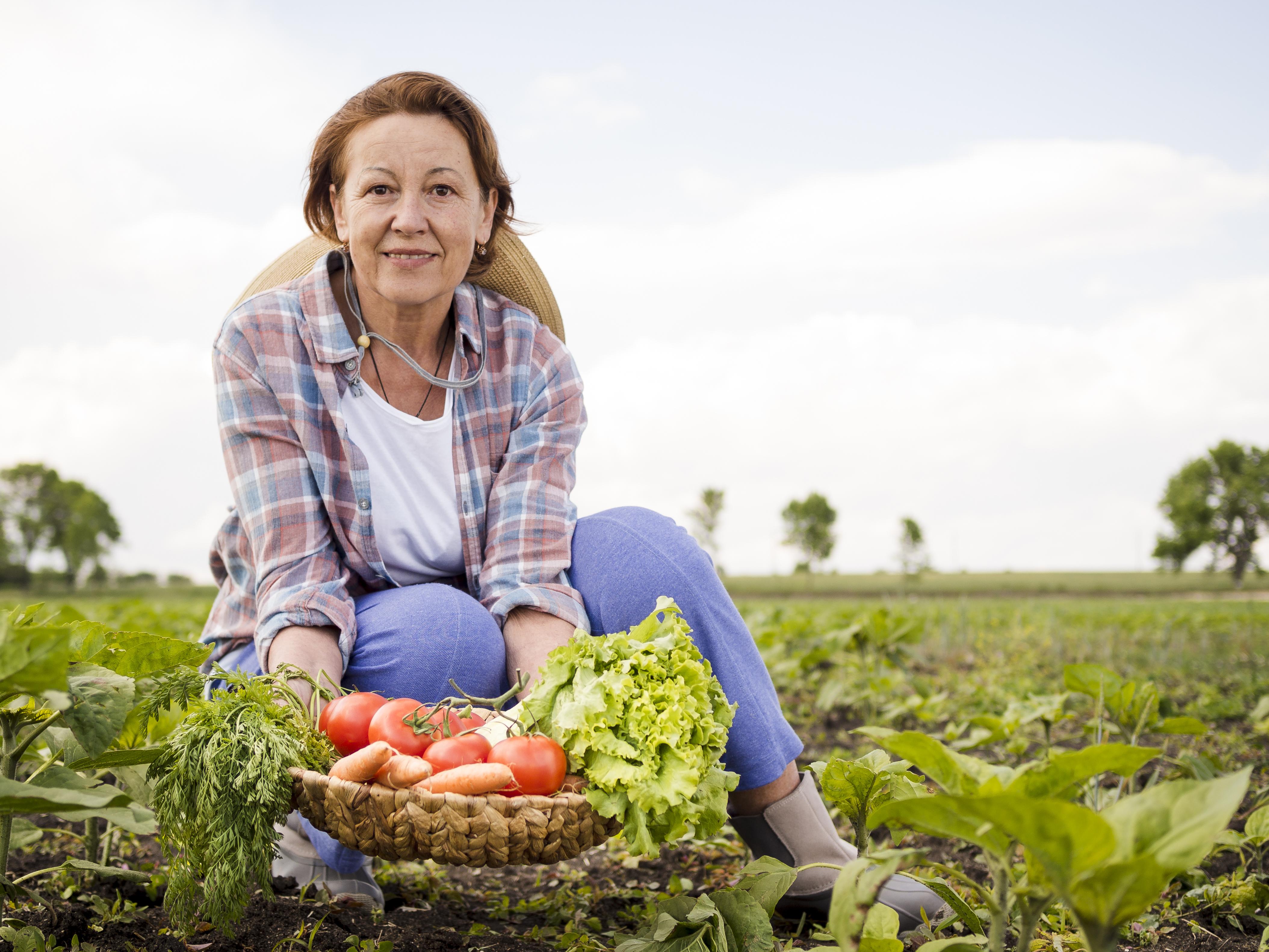 Women holding basket full vegetables